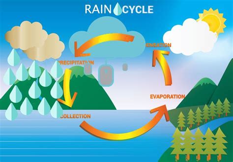 Rain Cycle Diagram | Quizlet