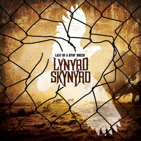 Lynyrd Skynyrd - Last Of A Dyin' Breed - maytherockbewithyou.com