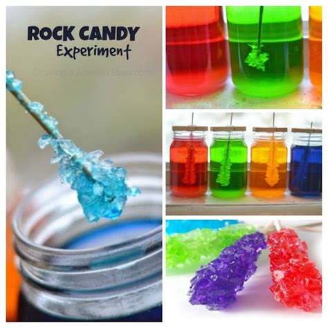 Rock Candy Experiment | Growing A Jeweled Rose