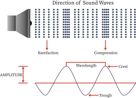 Categories of Sound Wave | bartleby