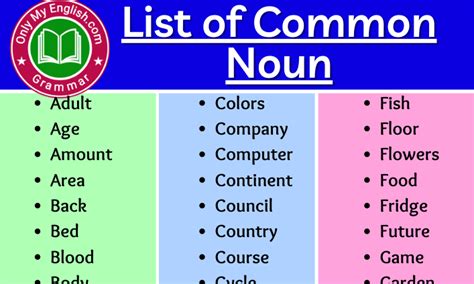 100+ Common Noun List of words in English » Onlymyenglish.com