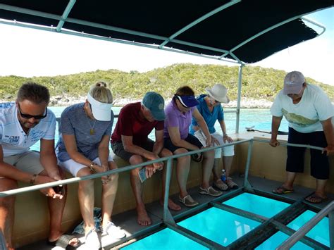 Glass Bottom Boat Tour in The Bahamas | Full width, Photo of the Day ...