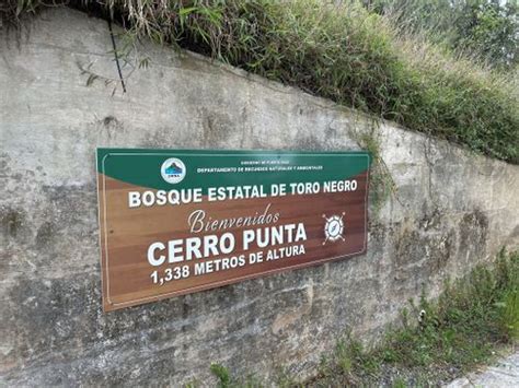 2023 Best Trails near Cerro de Punta | AllTrails