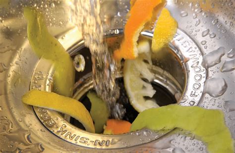 Sink Disposal Vs. Garbage Can: What To Do With Non-Composted Food Waste ...