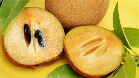 10 Incredible Sapota (Chiku) Benefits: From Boosting Energy to Bone ...