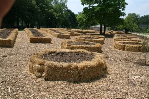 Hay bale gardening. | Garden | Pinterest