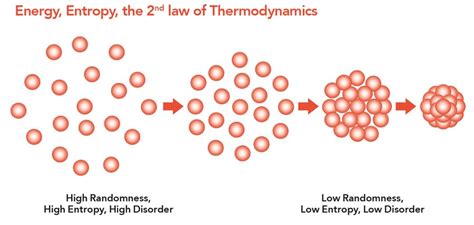 An Infinite Disorder: The Physics of Entropy