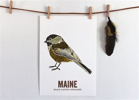 Maine State Bird Nature Art Outdoor Art Vintage Map Art - Etsy