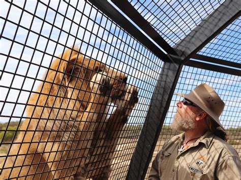 Monarto Safari Park Review | The Australian