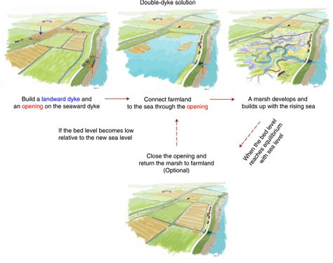 An example of steps to implement novel nature-based flood protection ...