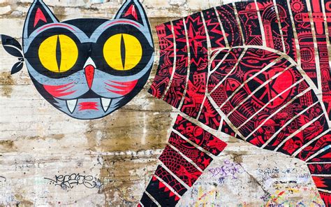 Graffiti Cat Wallpapers on WallpaperDog