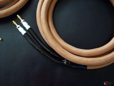 High End Speaker Cables - Brand New Photo #310722 - Canuck Audio Mart