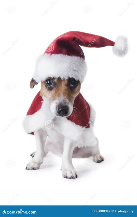 Santa s little helper. stock image. Image of christmas - 35008399