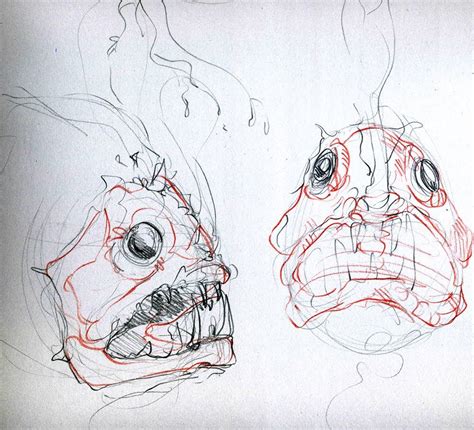 angler fish anatomy - Cerca con Google | Fish anatomy, Angler fish, Skate art