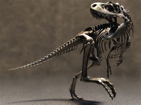 🔥 [40+] Dinosaur Skeleton Wallpapers | WallpaperSafari