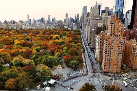 Central Park in fall, New York [2400x1600] : CityPorn