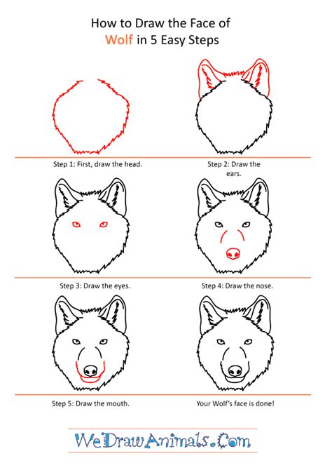 How To Draw Wolf Head Step By Step