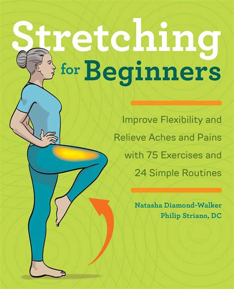 Stretches For Flexibility For Beginners