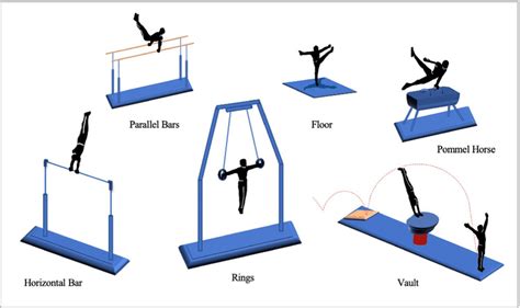 The disciplines in men’s artistic gymnastics | Download Scientific Diagram