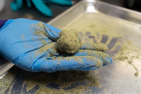 What Is Moonrock Weed and How Strong Is It? - UBaked