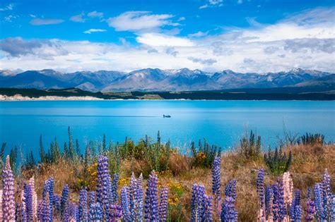 14 Stunning Landscapes You'll Only Find in New Zealand