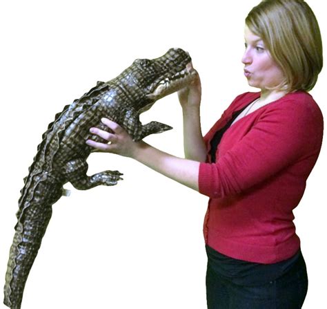 Large Stuffed Alligator 34 inches Long Big Plush Realistic Stuffed ...