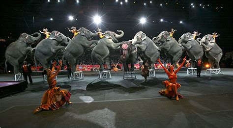 Ringling Brothers Circus Flies O’er Troubles With Greatest of Ease - The New York Times