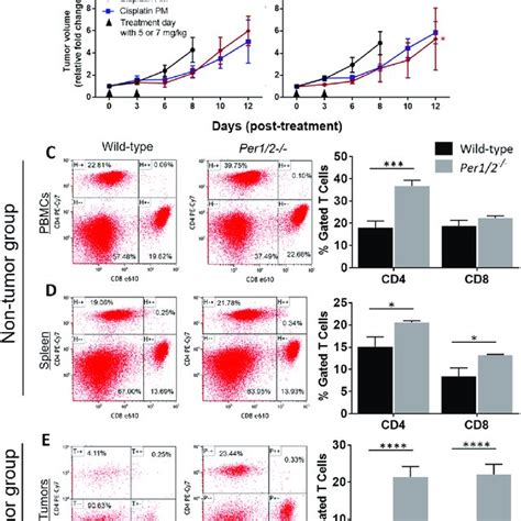 Influence of circadian clock in immune function against melanoma... | Download Scientific Diagram