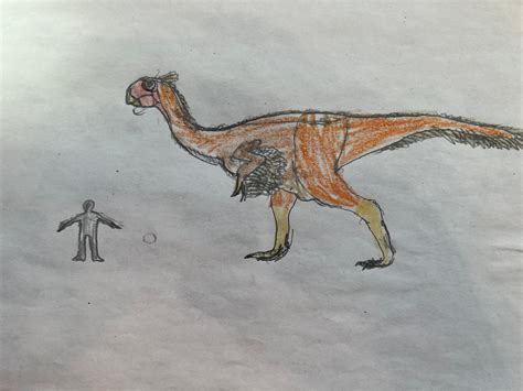 Gigantoraptor erlianensis Size Comparison (Color) by Alexh4070 on DeviantArt