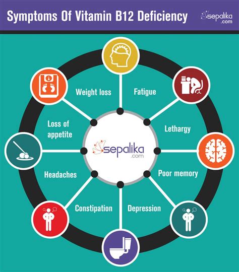 (Nervous System) Vitamin B12 Deficiency: Its Neurological Consequences and Neuropathy | by Rian ...