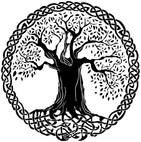 Tree Of Life Vector Free at GetDrawings | Free download