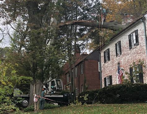 Tree Limb Crashes Through Chevy Chase Home Leaving Family Displaced - Montgomery Community Media