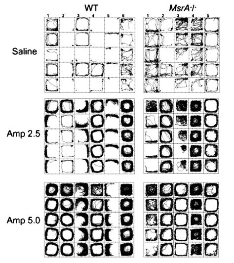 Movement trajectories for the data shown in Figure 4. Each square ...