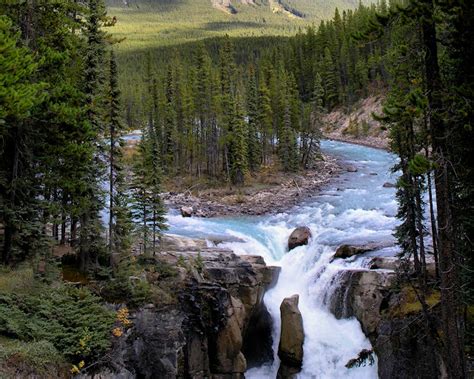 Sunwapta Falls, Jasper National Park - Canada