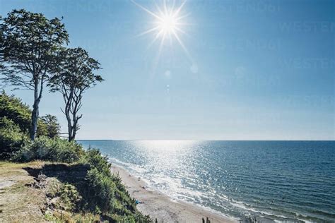 Trees growing at shore by sea against sky on sunny day, Poland stock photo