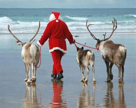 Santa & his reindeer at the beach before the big day | Summer christmas, Coastal christmas ...