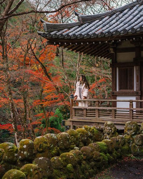 Kyoto in Autumn | Best Spots for Catching Fall Foliage