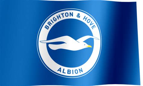 Brighton & Hove Albion FC Fan Flag (GIF) - All Waving Flags