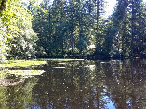 beachwalkerz: Camping at Hebo Lake