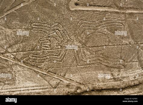 Nazca Lines Spider as viewed from a plane, Nazca, Peru Stock Photo - Alamy