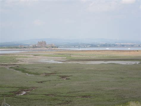 Enjoying the South Walney Island Nature Reserve - Adventures in ...