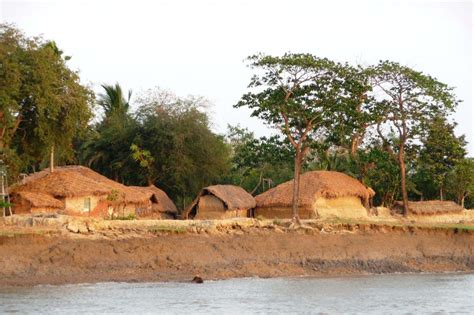 Sundarbans National Park