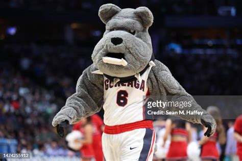 343 Gonzaga Mascot Stock Photos, High-Res Pictures, and Images - Getty Images