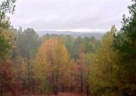 Fall Foliage Beavers Bend State Park. Mountain Vista cabin. #TravelOK | Beavers bend state park ...