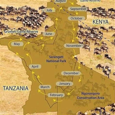 Serengeti National park map | Serengeti Safaris | Tanzania Tours