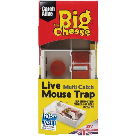 The Big Cheese Live Multi-Catch Mouse Traps