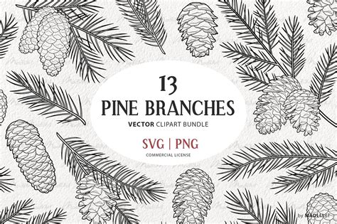 Pine Tree Branch Drawing