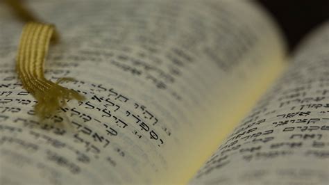 Biblical Wisdom Literature | My Jewish Learning