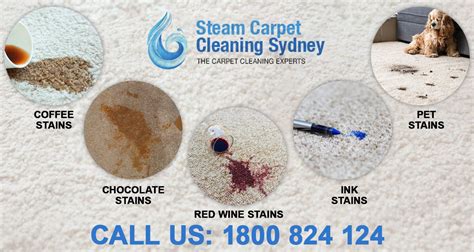 What are the Different Types of Carpet Stains which need proper ...