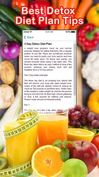 Best Detox Diet Plan Tips by Hasyim Mulyono